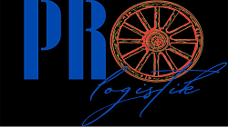 Логотип PRO-Logistik