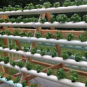 Гидропонные установки для выращивания ягод