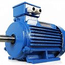 Электродвигатель АИР80В8 0,55 кВт 750 об/мин