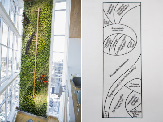 В Квебеке построена самая высокая вертикальная &laquo;живая&raquo; стена