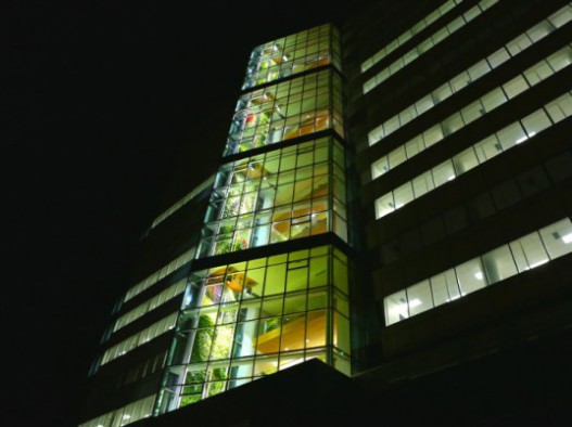 В Квебеке построена самая высокая вертикальная &laquo;живая&raquo; стена