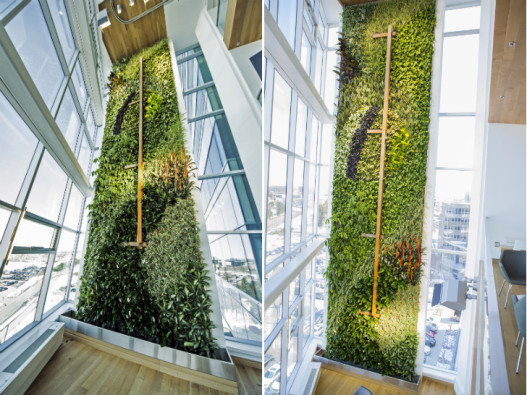 В Квебеке построена самая высокая вертикальная &laquo;живая&raquo; стена