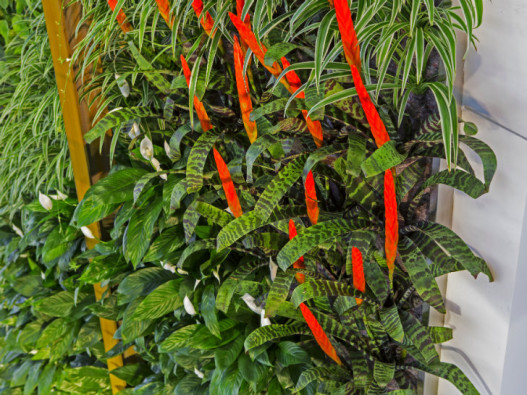 В Квебеке построена самая высокая вертикальная &laquo;живая&raquo; стена