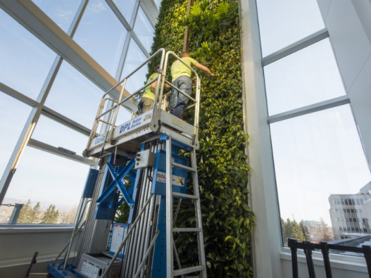 В Квебеке построена самая высокая вертикальная &laquo;живая&raquo; стена