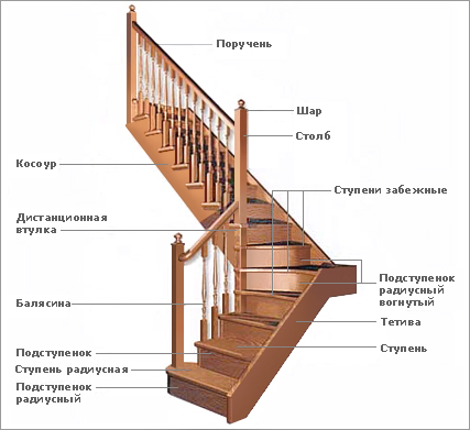 Структура лестницы