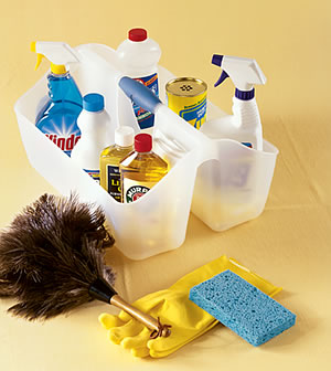 http://images.meredith.com/bhg/images/09/p_cleaning_caddy.jpg