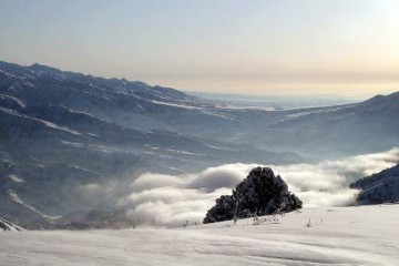 w500_lori-0000097607-bigwww_buy