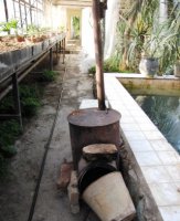 КАКИМ СТАНЕТ САД?