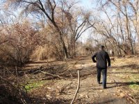 КАКИМ СТАНЕТ САД?