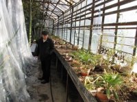 КАКИМ СТАНЕТ САД?