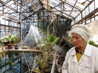 КАКИМ СТАНЕТ САД?