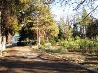 КАКИМ СТАНЕТ САД?