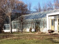 КАКИМ СТАНЕТ САД?