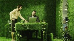 Зеленые офисы