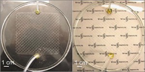 Ученые разработали новую систему охлаждения &ndash; для окон здания