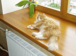 00e8cb9700da343584059f417a2c8c72_L