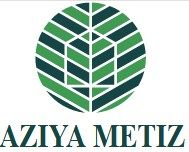 Логотип AZIYA METIZ дубль
