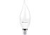 Светодиодная лампа LED Econom Flame-M 6W E14 ELT