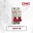 Автоматический выключатель DZ47 2P