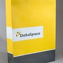 Корпоративный бумажный пакет dataspace