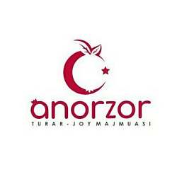 Логотип Anorzor