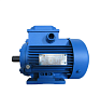 Электродвигатель АИР 100 S4 3/1500 2081