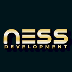 Логотип Ness Development
