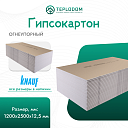Гипсокартон Knauf, огнеупорный 1200x2500x12,5 мм
