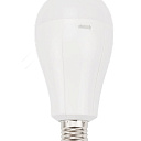 OYDIN Аккумуляторная лампа A78 15Вт E27