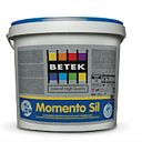 Краска B.M.SIL RG4 15 л