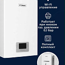 Одноконтурный газовый котел FITZMAN 18кВт