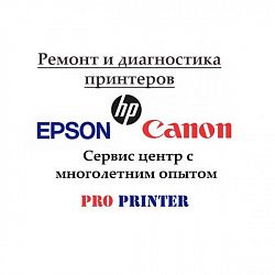Логотип ProPrinter