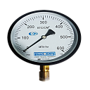 Манометр ДМ 8008 150 мм нержавейка -1+3 кг