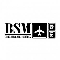 Логотип BSM Consulting
