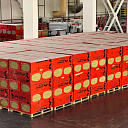 Базалть каменная вата THERMO PLUS