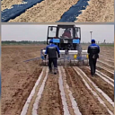 Агропленка и лента (специальная для посадки хлопка)