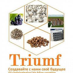 Логотип ООО "Триумф-Горняк"