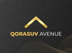 Логотип Qorasuv Avenue