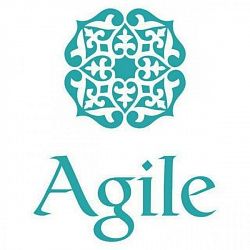 Логотип ProAgile