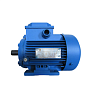 Электродвигатель АИР 90 L4 2,2/1500 1081