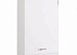 Газовый котел Viessmann Vitodens 100W - 26 двухконтурный