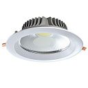 Светильник Lighting Fixture DOWNLIGHT LED AVENA COB 20W 5000K(TS) 165-15546