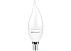 Светодиодная лампа LED Econom Flame-M 6W E14 ELT