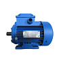 Электродвигатель АИР 80 А2 1,5/3000 1081