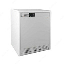 напольный чугунный котел Protherm Медведь KLO 50 kwt