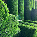 Ekozabor Setka Dekorativ Yashil Devor Экозабор Сетка Зеленая сетка