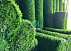 Ekozabor Setka Dekorativ Yashil Devor Экозабор Сетка Зеленая сетка