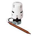 CALEFFI  Терм. головка c наружным зондом 40-90 С