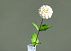 Искусственный цветок Gerbera 66 см