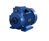 Электродвигатель АИР 100 L6 2,2/1000   1081